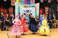 Fasching_2020-14