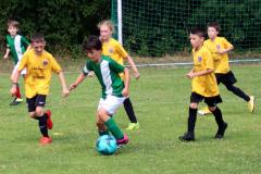 Bild-19-U10-SpVgg-Haidhausen