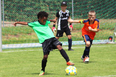 e2_1_20190715_1899918977