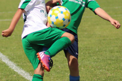 f1_10_20190715_1810345256