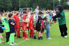 f2_7_20190715_2006380303