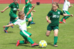 g1_11_20190715_1057493305