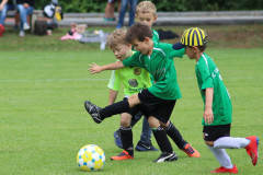 g2_12_20190715_1276567703