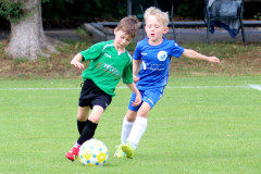 g2_7_20190715_1562814475