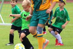 m-k-s_10_20190715_1334374964