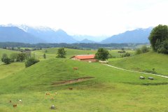 3_hinweg_5_20190610_1248769900
