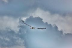 vereinsausflug_2012_007_29_20120807_1685396549