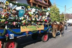 71_-_rosstag_-_2010_20111012_1193156510